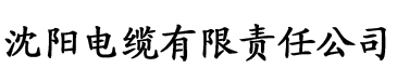 《办公室的往事》电缆厂logo